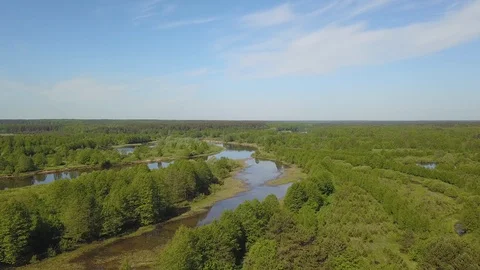 Flying over forest and river Stock Footage 92119391