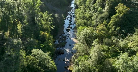 Flying over a forest and river in the steep valley Stock Footage 220128286