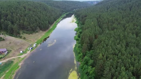 Flying over the forest and the river Green forest Big trees Stock Footage 246580954