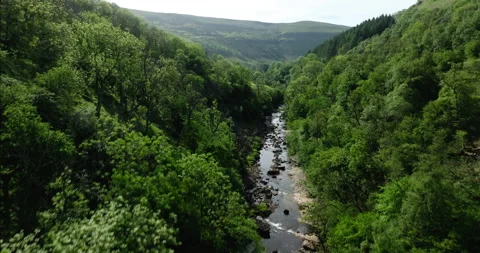 Flying over a forest and river Stock Footage 336997419