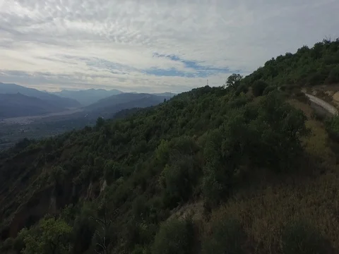 Flying over the forest on a cloudy day Stock Footage 72437980
