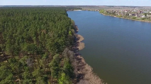 Flying over the forest on the coastline Video stock 74594729