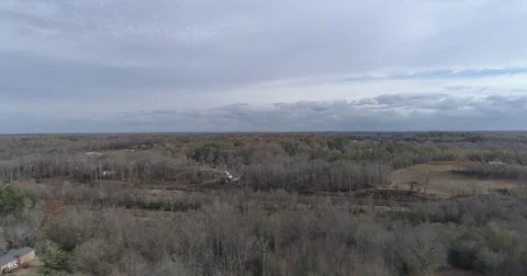 Flying over a forest in the day Stock Footage 81645181