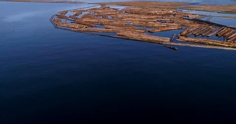 Flying over a forest of dead floating trees Stock Footage 91379957