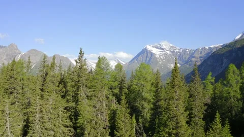 Flying over the forest with a drone. Stock Footage 133501517