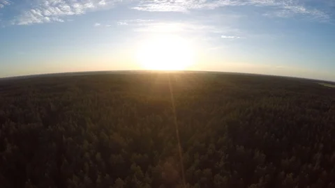 Flying over the forest during sunset. Stock Footage 112367417