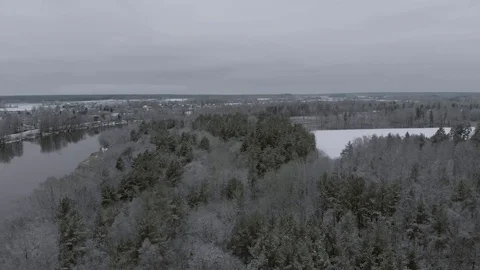 Flying over a forest during winter Stock Footage 100701123