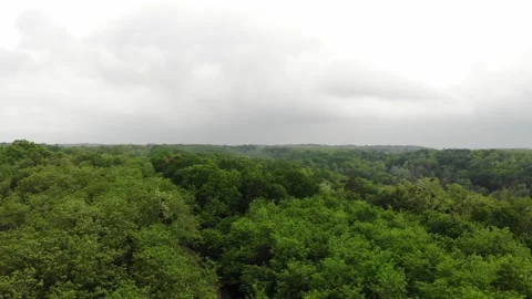 Flying over the forest, field Stock Footage 151768330