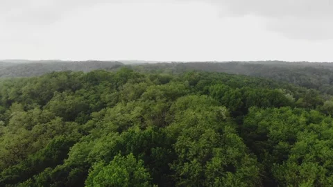 Flying over the forest, field Stock Footage 151768392