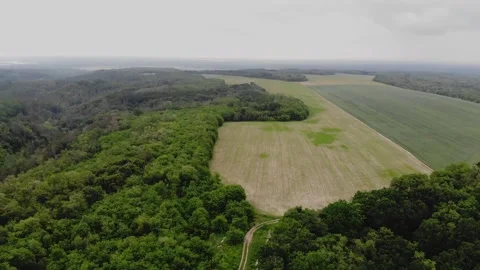 Flying over the forest, field Stock Footage 151768454