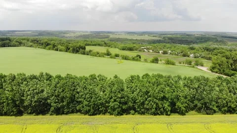 Flying over the forest, field Stock Footage 151768523