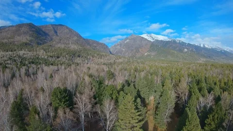 Flying over the forest at the foot of the mountains Stock Footage 126466641