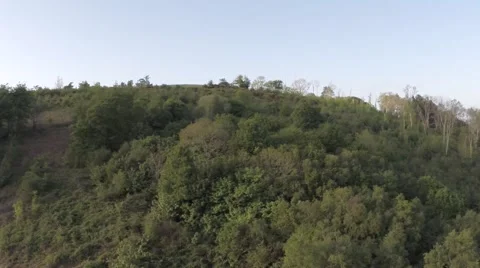 Flying Over The Forest 库存影片 65394640