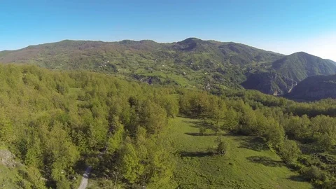 Flying over the forest Stock Footage 72166308
