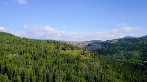 Flying over forest  스톡 동영상 87621928