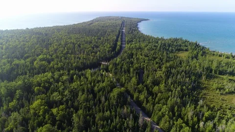 Flying over Forest 库存影片 100604844