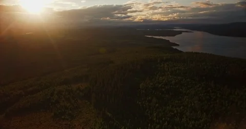 Flying over forest 스톡 동영상 108567944