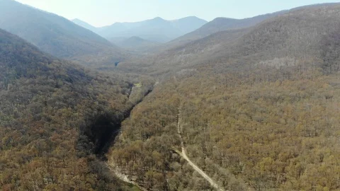 Flying over the forest. Stock Footage 124756437