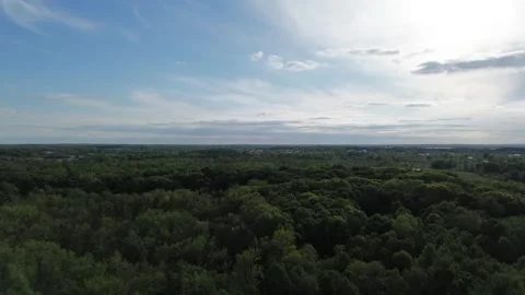 Flying over a forest Stock Footage 311575916