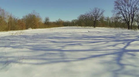 Flying over the forest glade with lifting up. Winter. Aerial view. Stock Footage 47154315