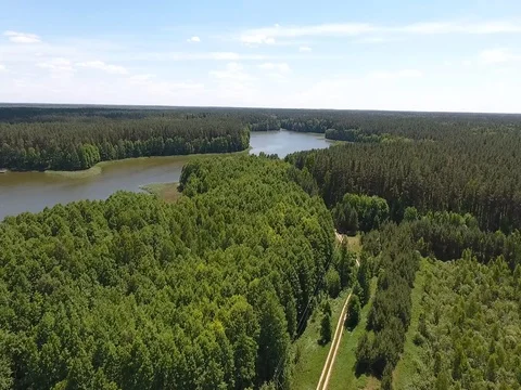 Flying over the forest to the lake at low altitude Stock Footage 70349208