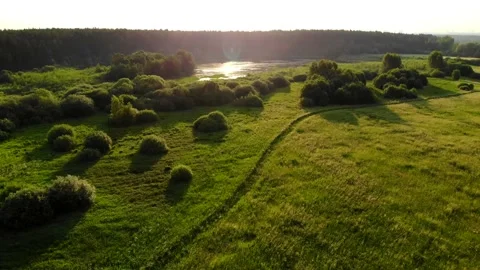 Flying over a forest lake, in the rays of the dawn sun Stock Footage 162263767