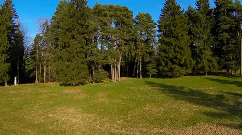 Flying over a forest landscape, Upper Bavaria, Germany, Europe Stock Footage 36080714