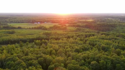 Flying over a forest in Minnesota Vídeo Stock 242053546