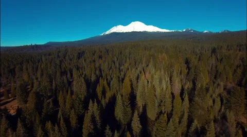 Flying over the forest mountain Vidéo 46462000