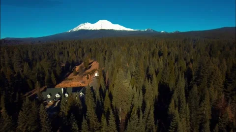 Flying over the forest mountain Stock-Footage 46463287