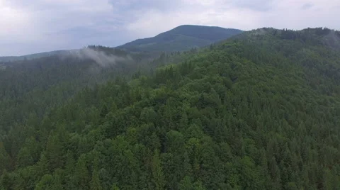 Flying over the forest on the mountain tops Stock Footage 67108479