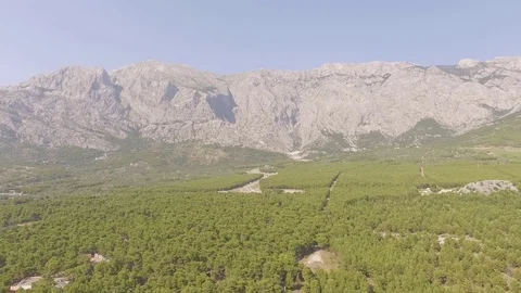 Flying over forest with mountains and sea behind Stock Footage 78910376