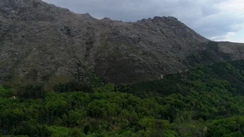 Flying Over Forest with Mountains in the Background 스톡 동영상 331036615