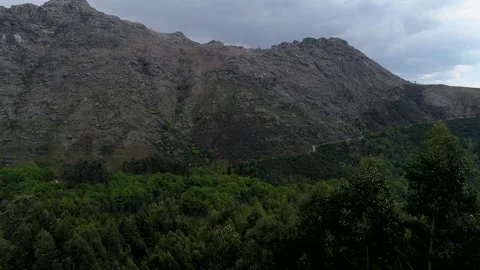 Flying Over Forest with Mountains in the Background Видео 331037677