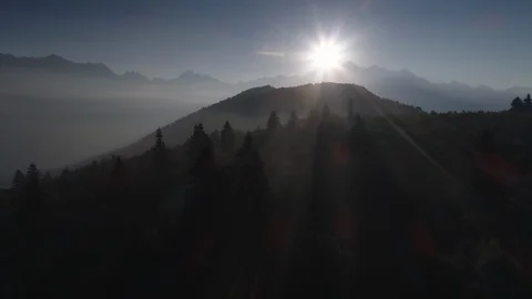 Flying over the forest in mountains in backlight on sunrise. drone shot Stock Footage 99565444