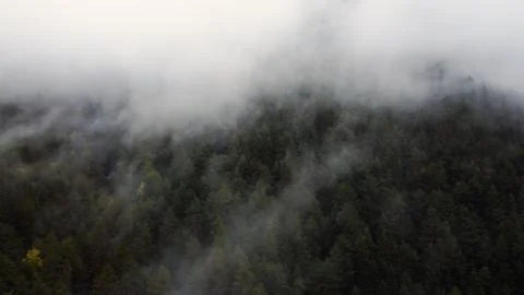 Flying over the forest in the mountains with floating fog Stock Photos