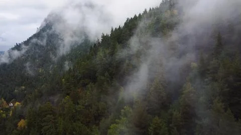 Flying over the forest in the mountains with floating fog Photos