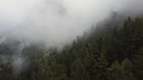 Flying over the forest in the mountains with floating fog Stock Photos