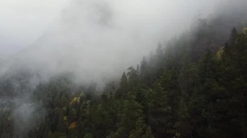 Flying over the forest in the mountains with floating fog Stock Photos