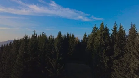 Flying over the forest in the mountains Stock Footage 101500938