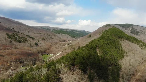 Flying over the forest in the mountains. Stock Footage 124756077