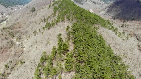 Flying over the forest in the mountains. Stock Footage 124756155