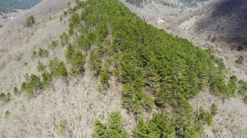 Flying over the forest in the mountains. Stock Footage 124756207