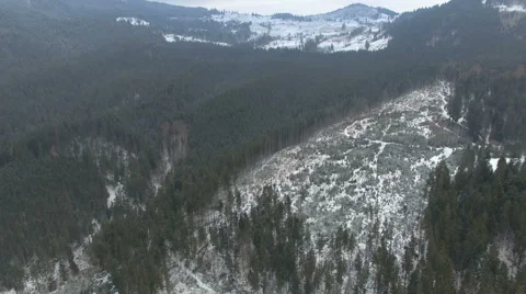 Flying over the forest in the mountains in winter on a cloudy day 04 Video stock 58891374