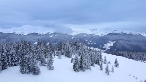 Flying over the forest in the mountains in winter Stock Footage 129312091