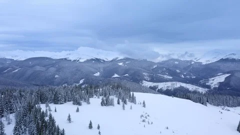Flying over the forest in the mountains in winter Stock-Footage 129599472