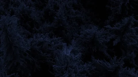 Flying Over Forest At Night Vídeo Stock 46868993