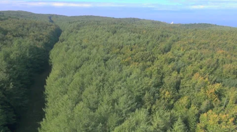 Flying Over Forest With Ocean Stock Footage 36873605