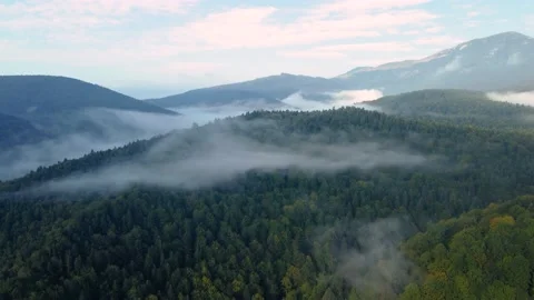 Flying over forest partially covered with fog Stock Footage 230518585