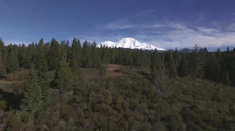 Flying Over The Forest to Reveal Mount Shasta 库存影片 62493214